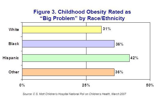 Childhood obesity rated as "big problem" by race/ethnicity