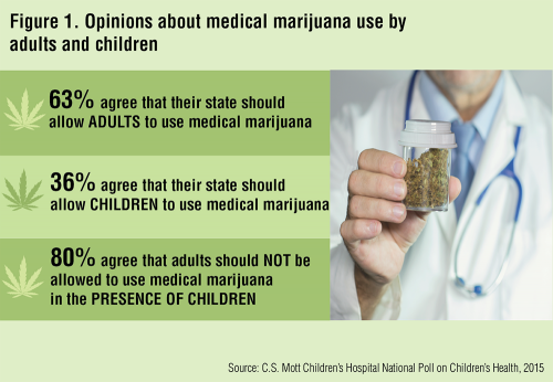 Figure 1: Opinions on the use of medical marijuana for adults and children